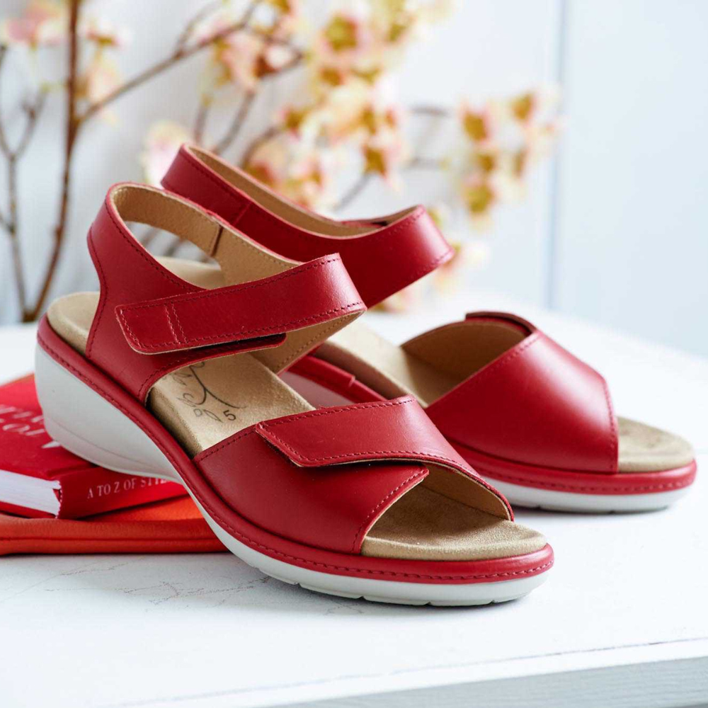 DB Saxifrage - Red Sandals