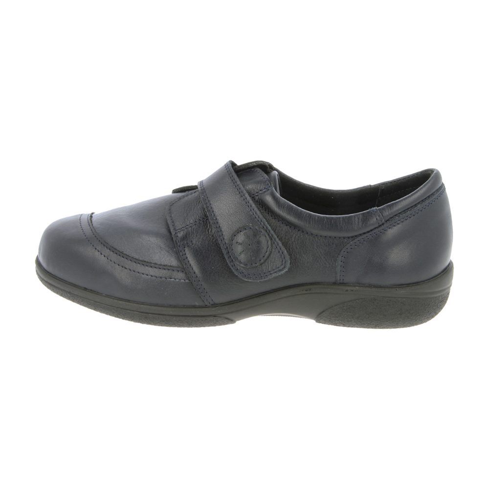 DB Owl Casual Shoe - Navy