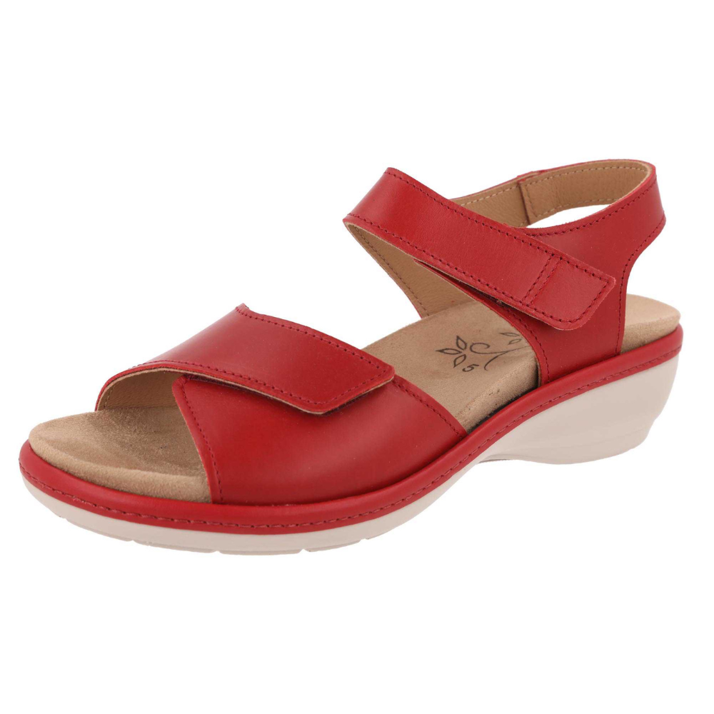 DB Saxifrage - Red Sandals