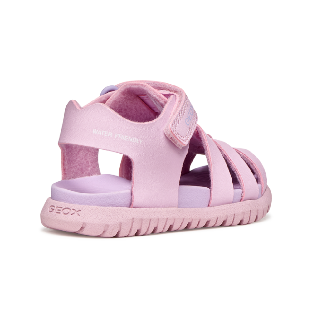 Geox B Sandal Fusbetto A B556BA - C8842 Pink/Lilac Sandals