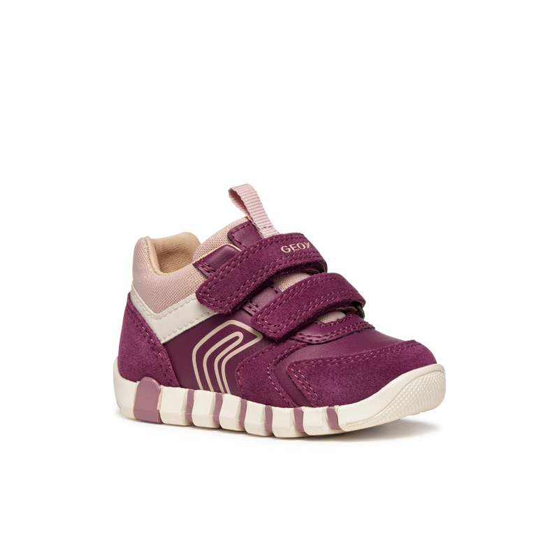 Geox B Iupidoo G. C B3558C - C8HK8 Dk Purple/Rose Shoes
