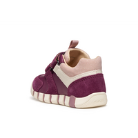 Geox B Iupidoo G. C B3558C - C8HK8 Dk Purple/Rose Shoes