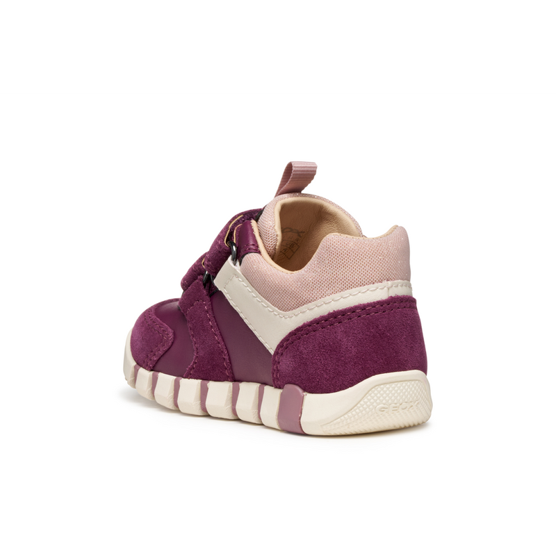 Geox B Iupidoo G. C B3558C - C8HK8 Dk Purple/Rose Shoes