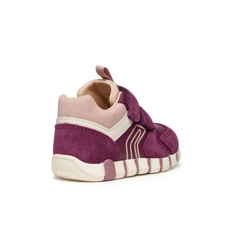 Geox B Iupidoo G. C B3558C - C8HK8 Dk Purple/Rose Shoes