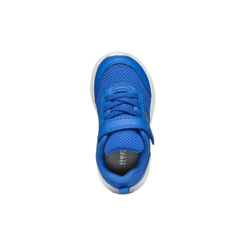 Geox B Sprintye Boy B454UC - C4011 - Royal Trainers