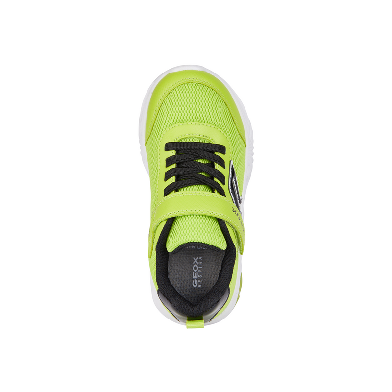 Geox J Assister Boy J45DZC - C3707 - Lime/Black Trainers