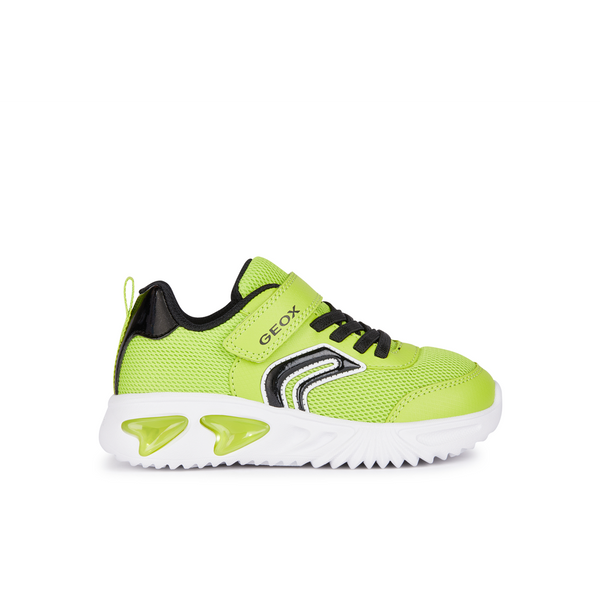Geox J Assister Boy J45DZC - C3707 - Lime/Black Trainers