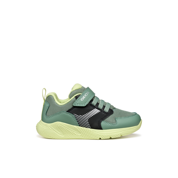 Geox J Sprintye Boy A J55GBA - C0214 Green/Black Trainers