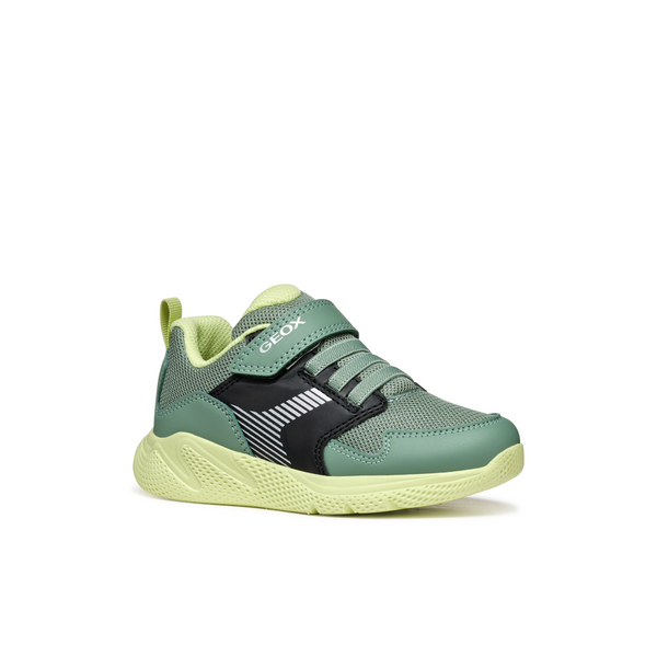 Geox J Sprintye Boy A J55GBA - C0214 Green/Black Trainers
