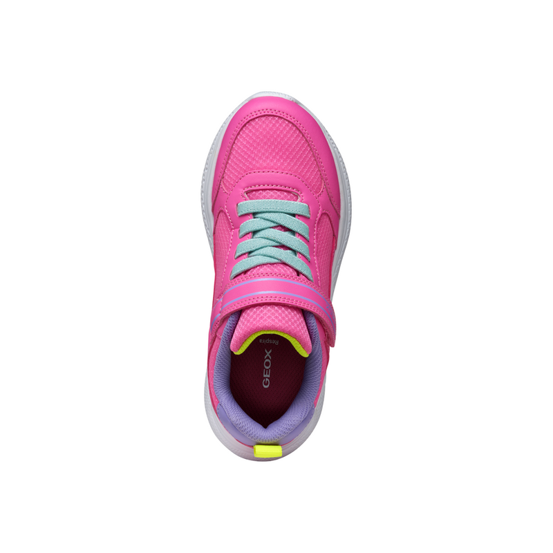 Geox J Sprintye Girl A J56FWA - C8L8E Fluo Fuschia/Dark Lila Trainers